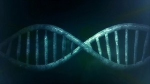 DNA