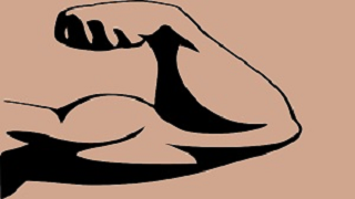muscle-arm-E 腕