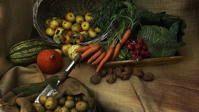 TN-harvest-vegetable-food 野菜