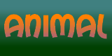 animal animal