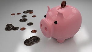 piggy-bank-coin-G 豚貯金箱