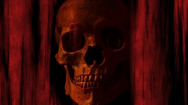 TN-skull-and-crossbones-blood 骸骨