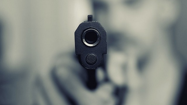 TN-pistol-revenge-gun 銃