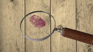 boards-magnifier-fingerprint 指紋