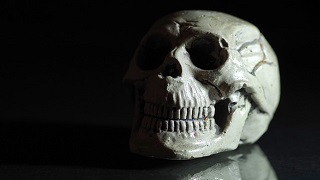 skull-shadow-22 スカル