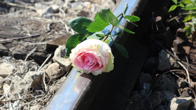 TN-stop-teenager-suicide-rail-rose 自殺