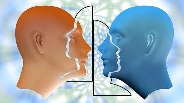 TN-perception-personality-double-dual 人格