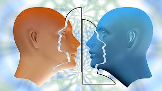perception-identity-double 人