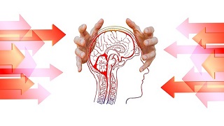 brain-arrow-hands 脳